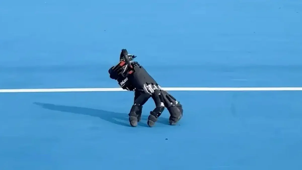 DEDOS: Mano robótica