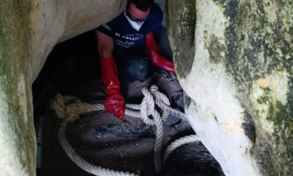 Lugar donde se encajó el animal en Punta Cuevas