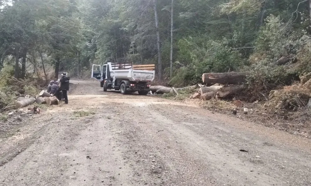 Trabajos viales
