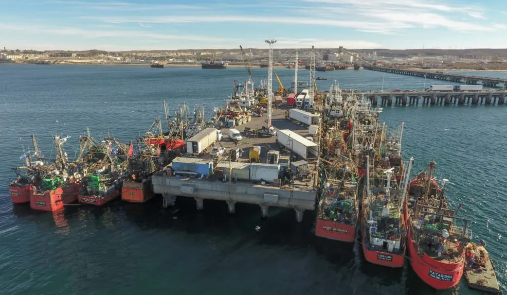 puerto-madryn-descargas-langostino
