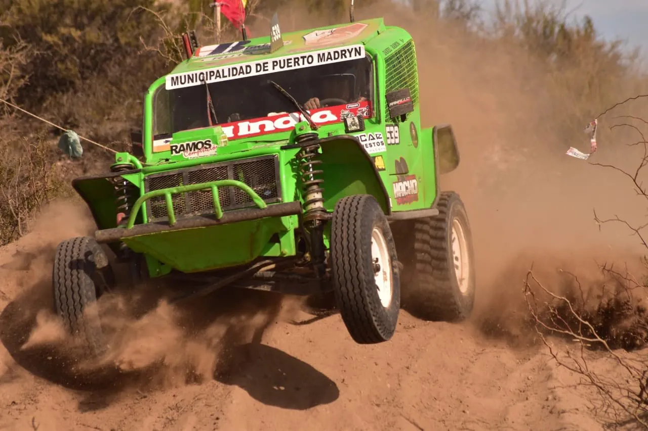 Safari Simple B. auto saltando