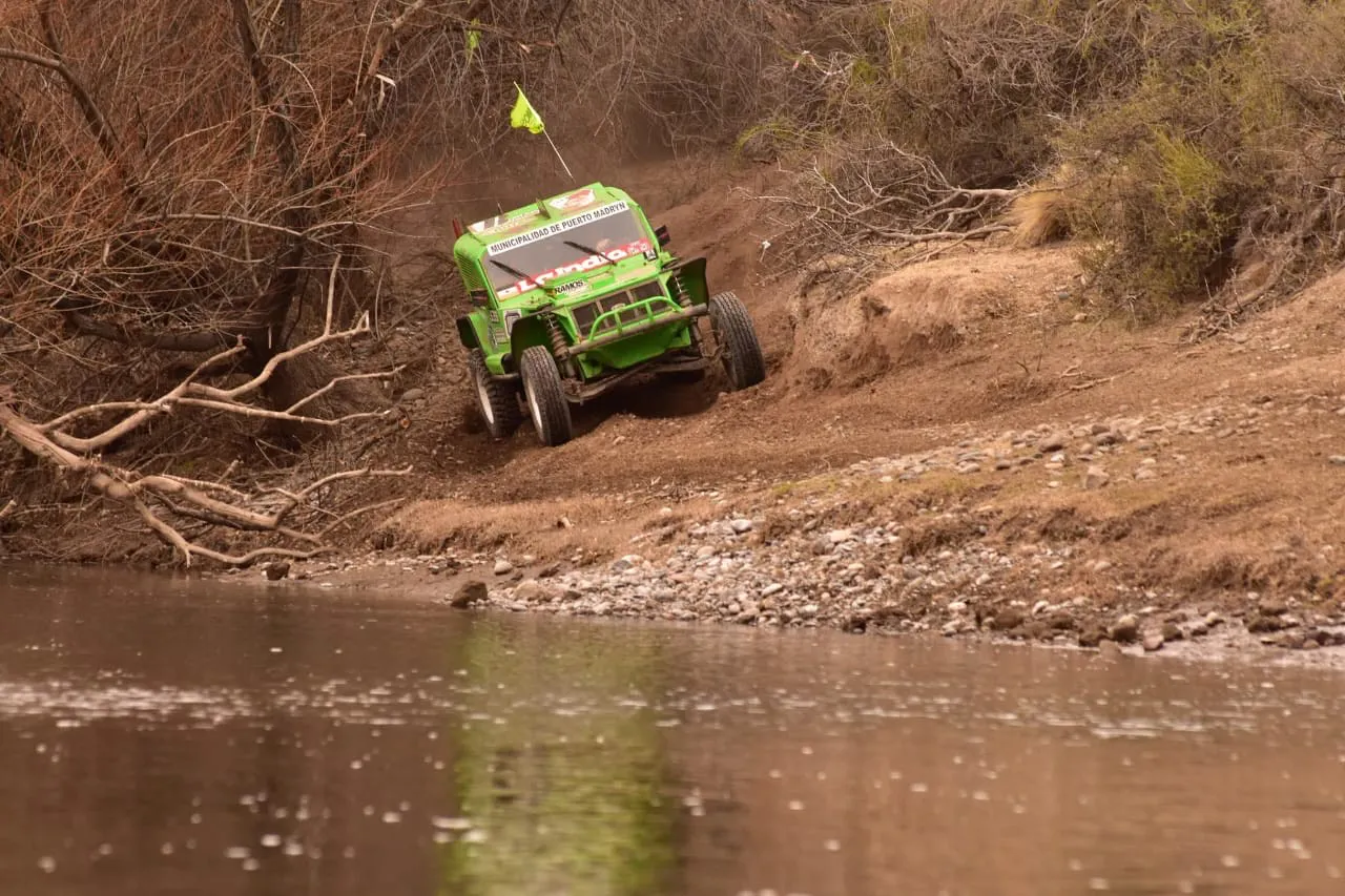 Safari Simple B. cañadon