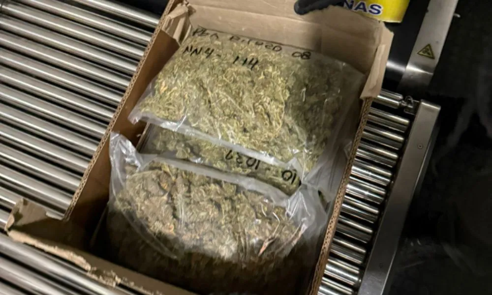 Una pareja fue detenida con cocaína y marihuana en un control