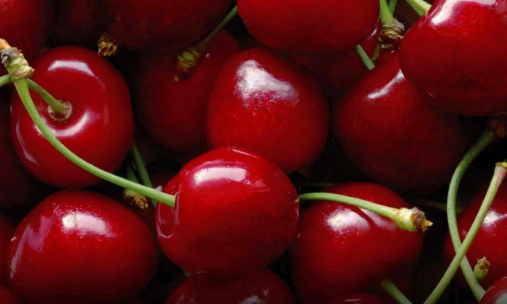 Cerezas