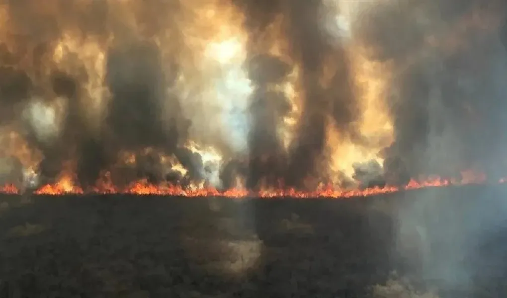 incendio forestal en Paraguay