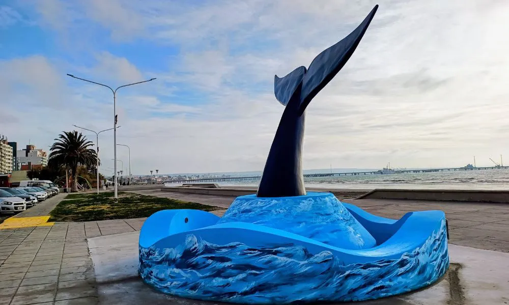 Cola de Ballena en Puerto Madryn
