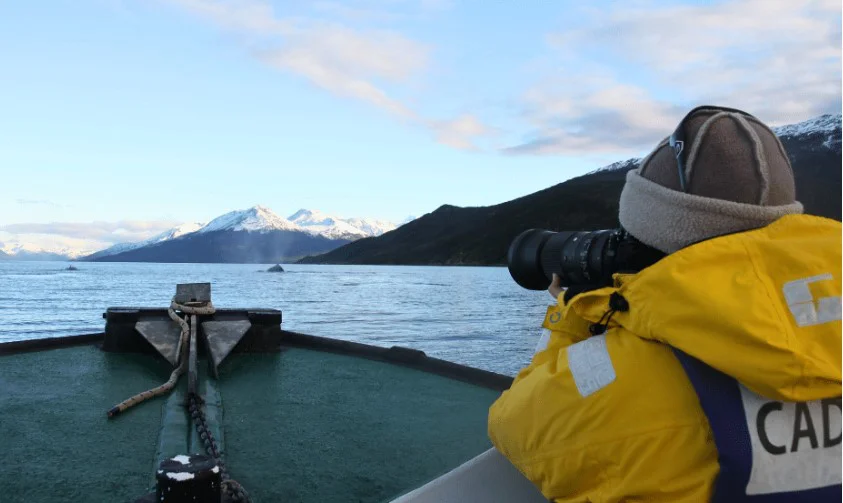 Los investigadores pudieron comprobar que algunos individuos vuelven regularmente al mismo lugar.