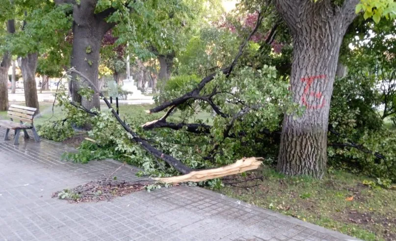 viento trelew (2)