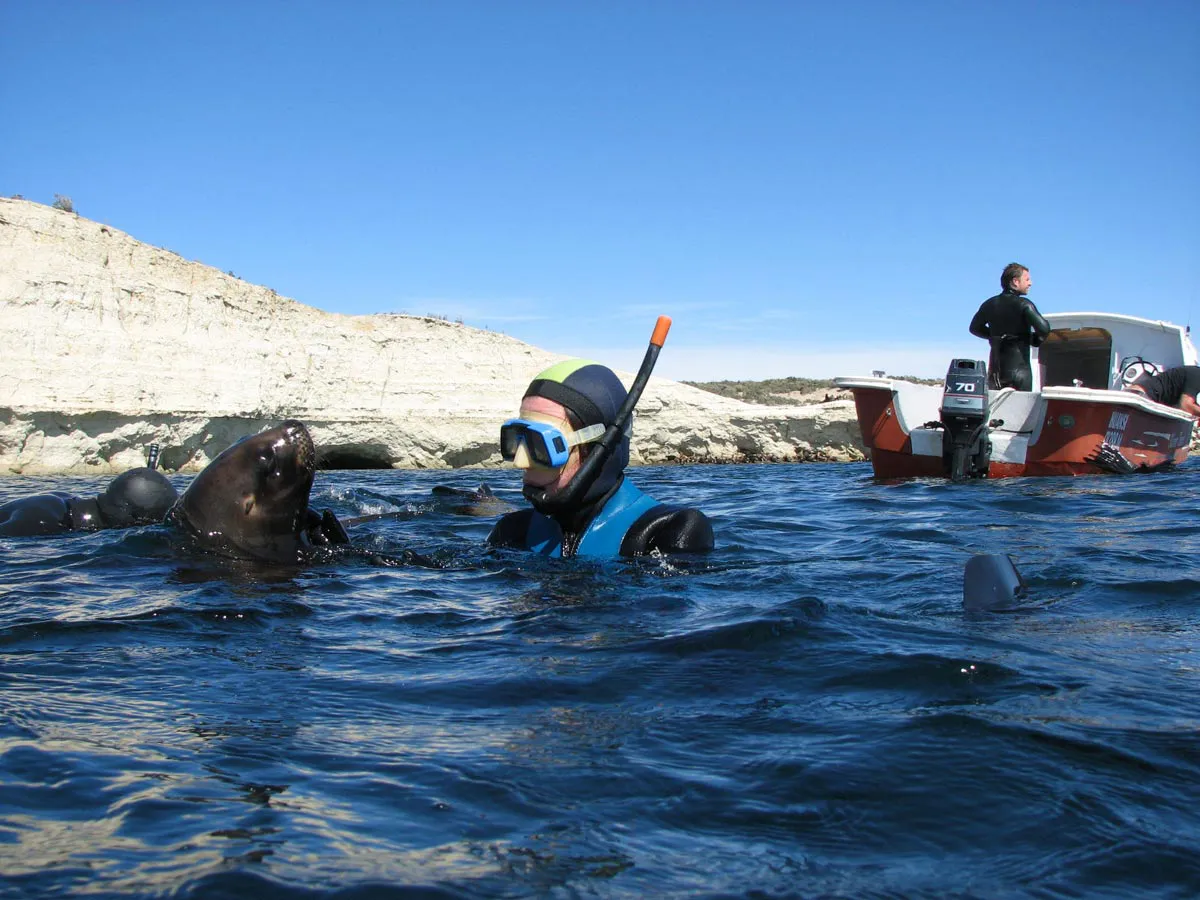 Snorkeling con lobos