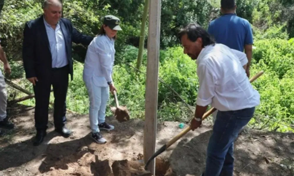 Bullrich Cerco