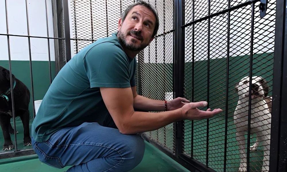 gerardo merino adopciones