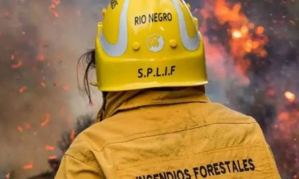 SPLIF. Foto Prensa Gobierno de Río Negro