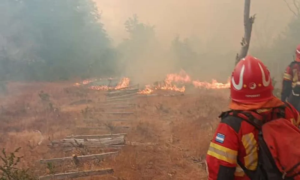 Incendios cordillera