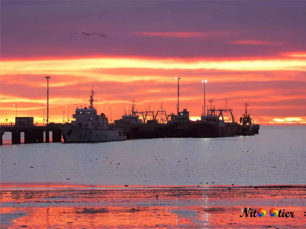 Amanecer en Madryn Nito Otier