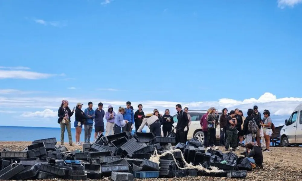 Limpieza de playas en Punta Ninfas