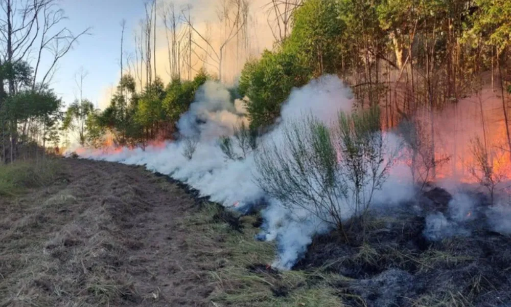 Incendio Corrientes
