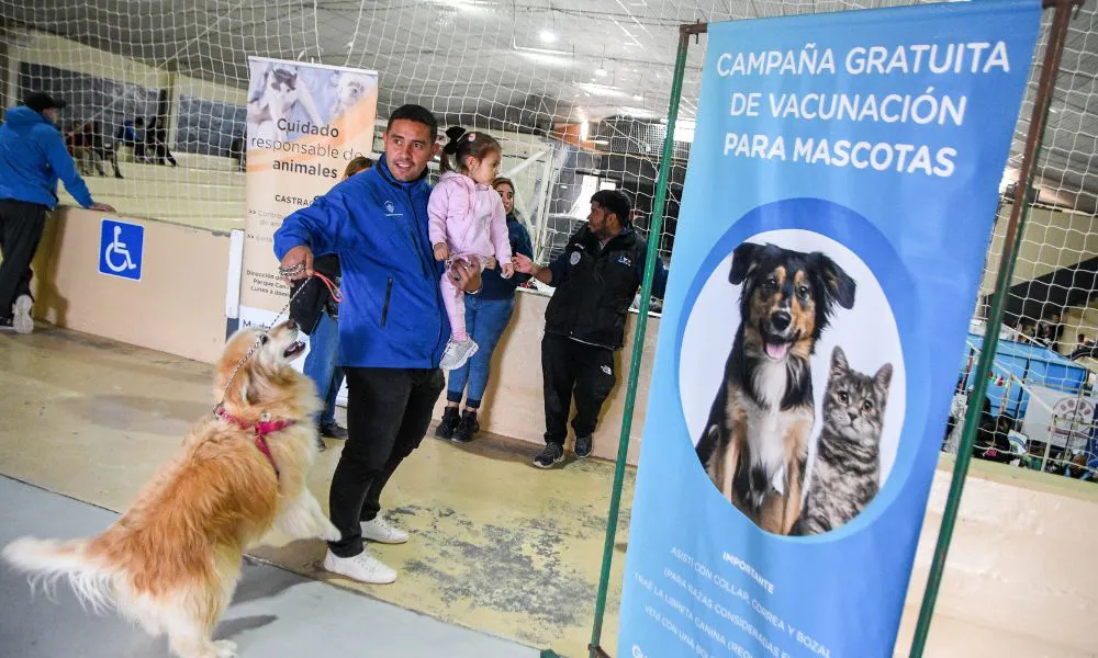 Campaña de vacunación y castración en Madryn
