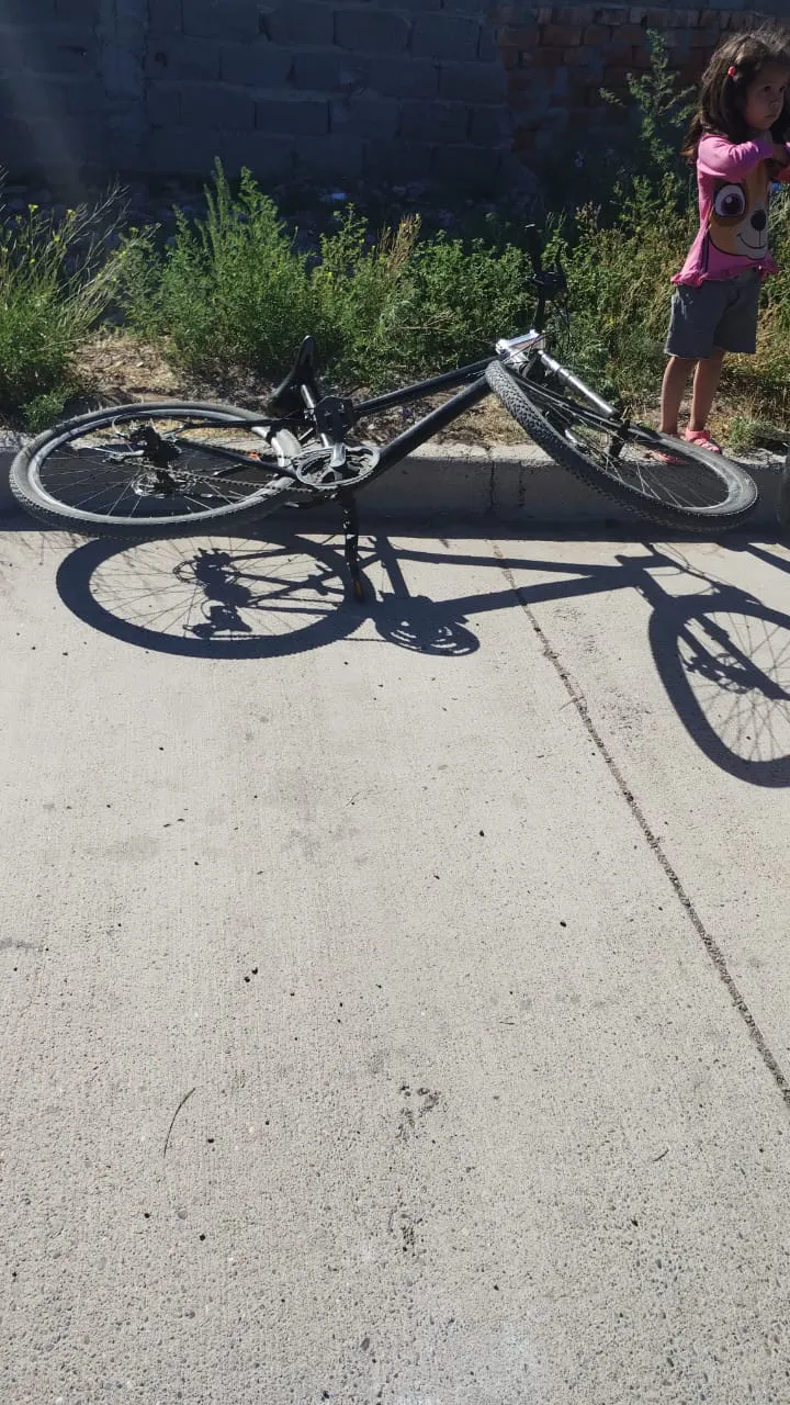 WhatsApp Image 2024-02-12 at 19.07.26