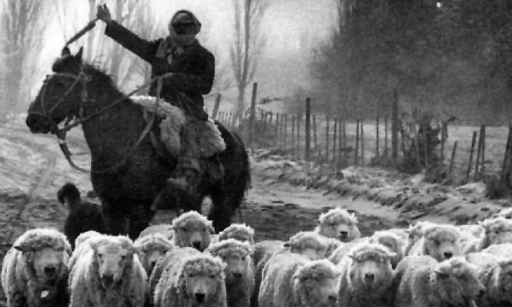 La ceniza del Hudson llegó a Madryn 5