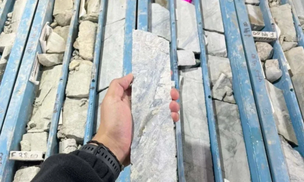 El equipo técnico visitó el yacimiento operado por Patagonia Gold con el objetivo de verificar el avance de las tareas.