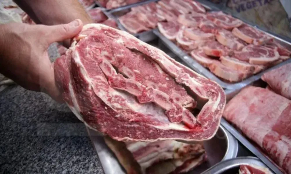 Carne