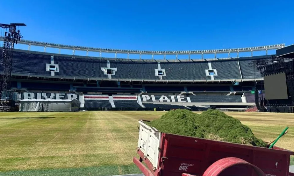 Cesped en el monumental