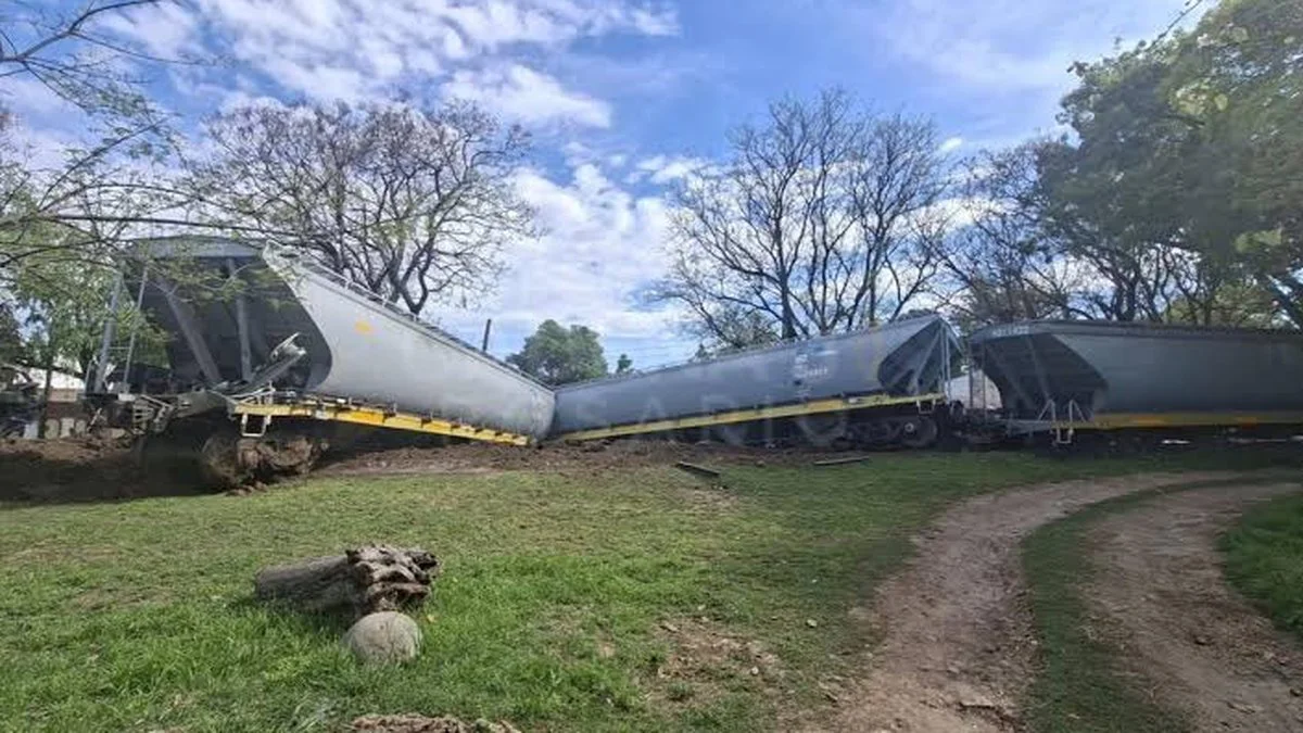Descarriló un tren del Belgrano Cargas. Foto Cadena 3