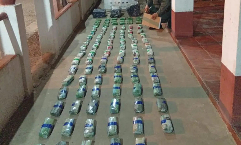 Incautan 24 kilos de hoja de coca