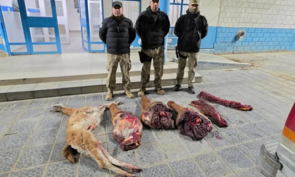 Caza furtiva en Santa Cruz