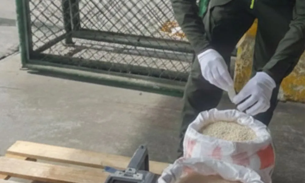 Cocaína incautada en colombia