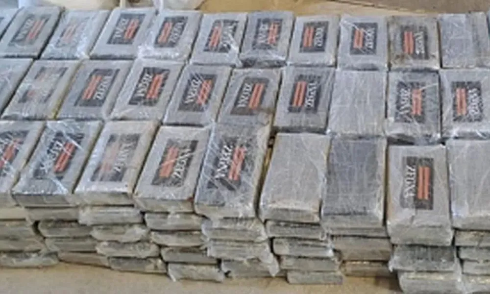 Se incautaron más de 200 kilos de cocaína en Bélgica