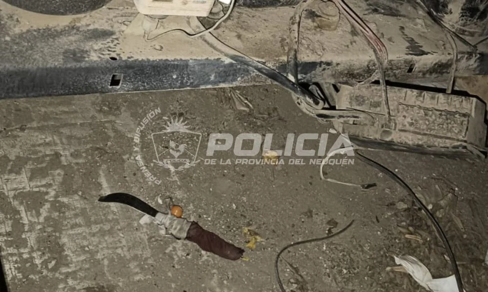 Corrió por los techos tras ser visto y terminó detenido por un intento de robo