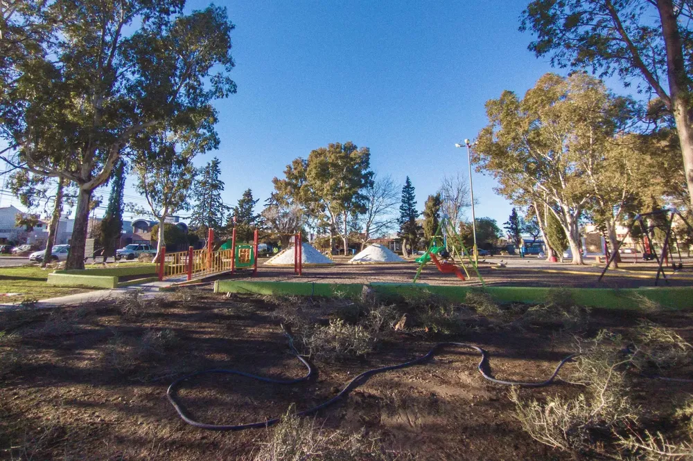Avanza con los trabajos de forestación en la Plaza Güemes de Rawson
