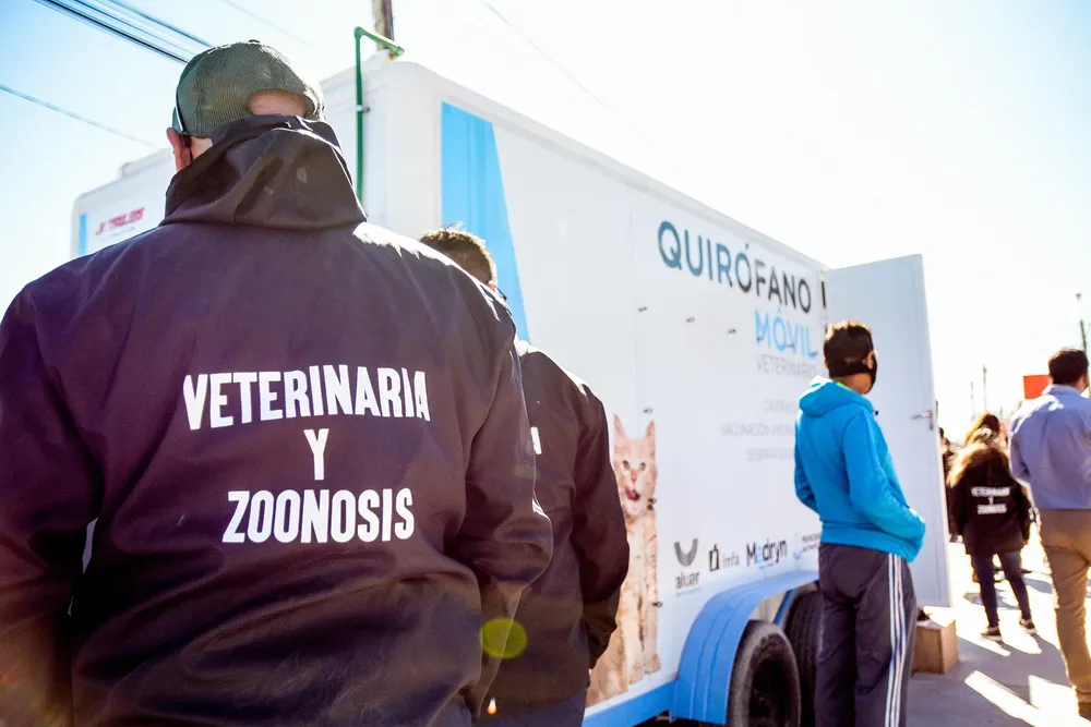 VACUNACIÓN ANTIRRÁBICA Y CASTRACIÓN EN PUERTO MADRYN