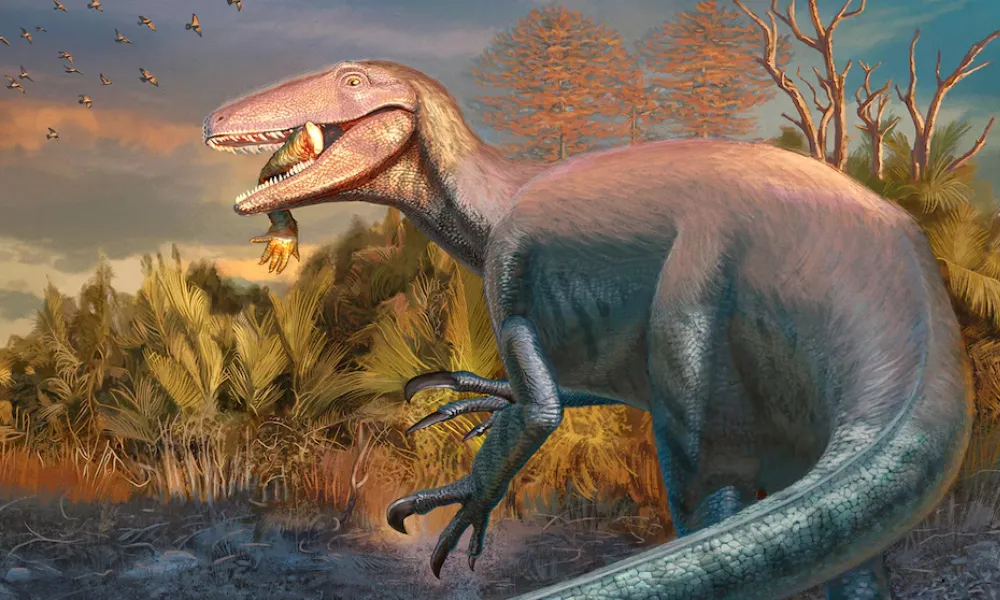Joaquinraptor casali