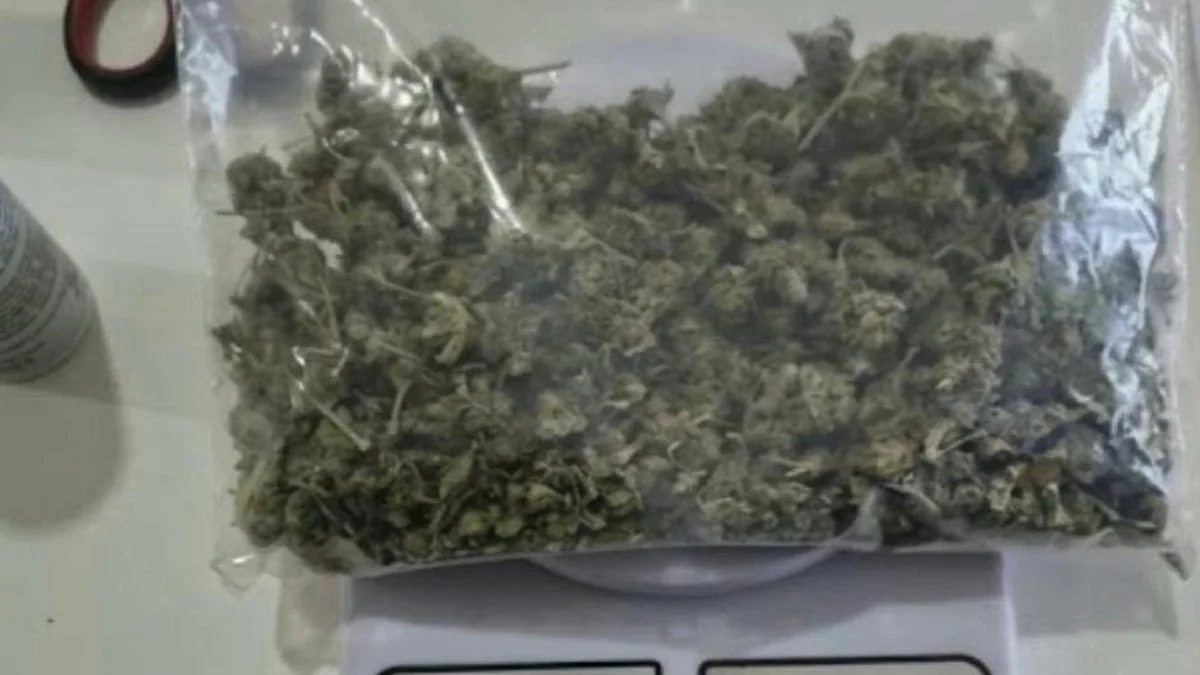 Secuestro de marihuana y cocaína