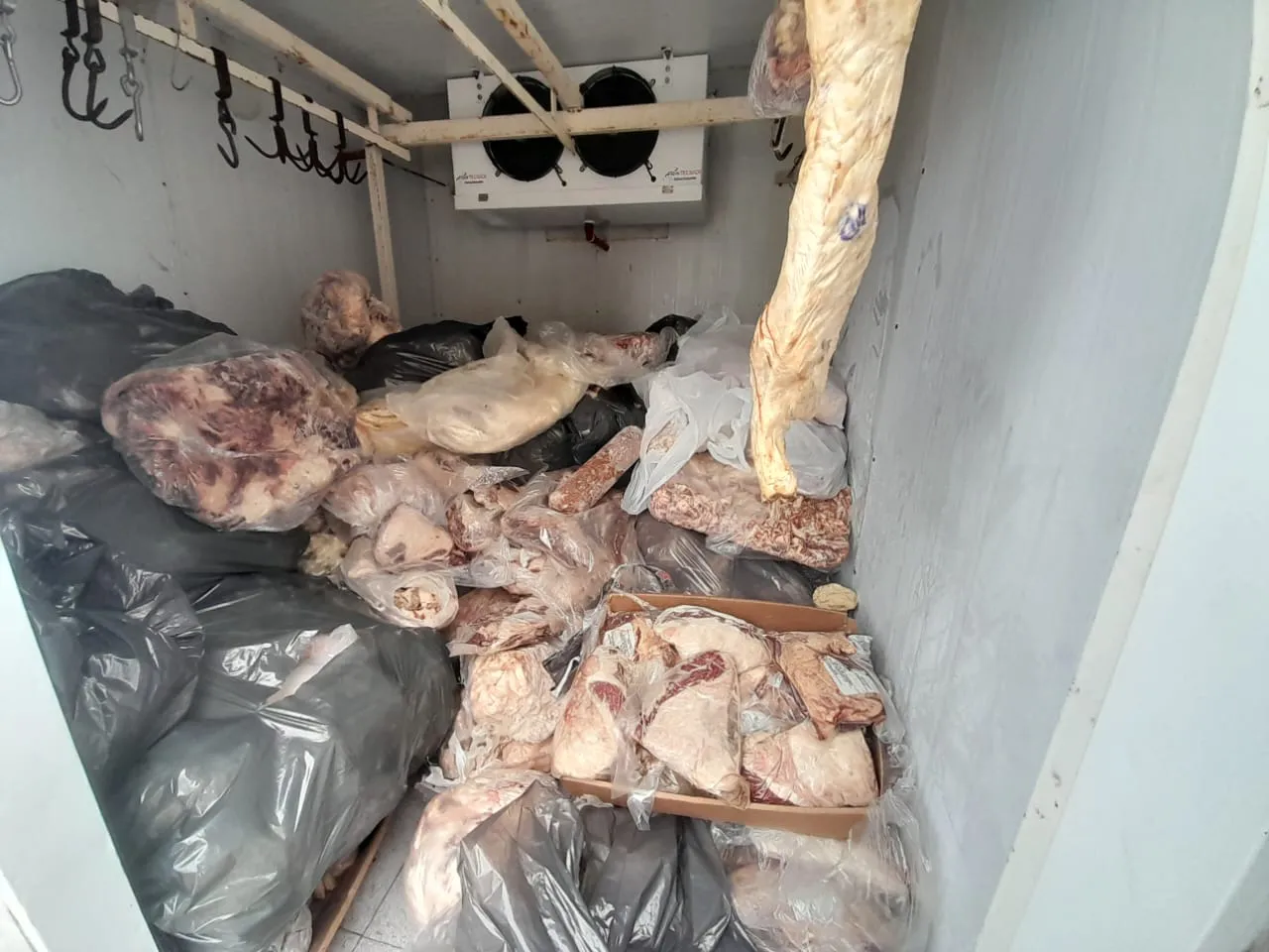 Imagen de WhatsApp 2025-04-15 a las 17.18.25_d8661fe2