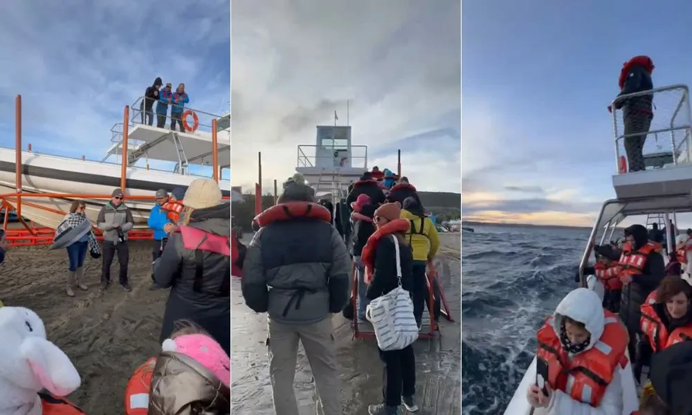 Botadura de la nueva embarcación de Bottazzi Whale Watch