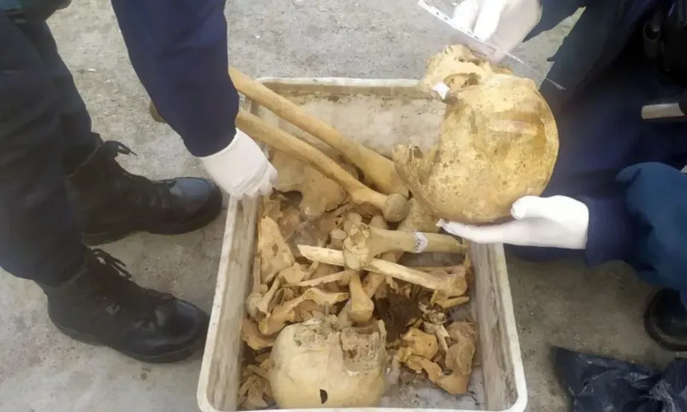 restos óseos hallados en Rawson