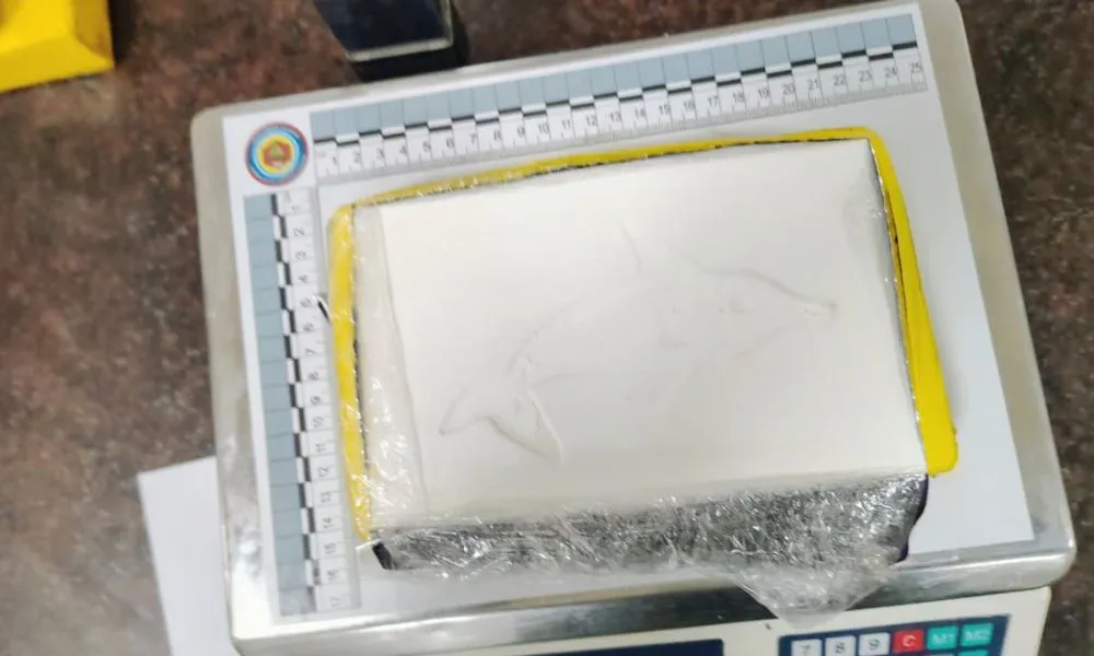 Ocultaron más de 86 kilos de cocaína en tubos de GNC