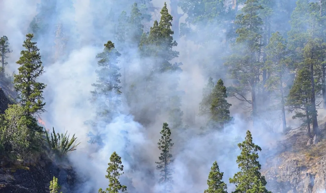 INCENDIO LANIN