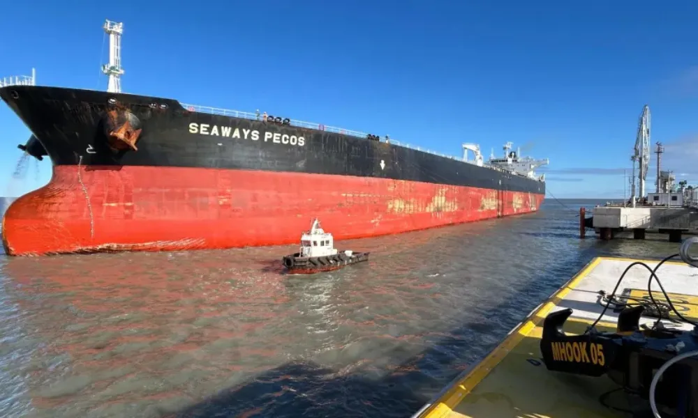 Puerto Rosales