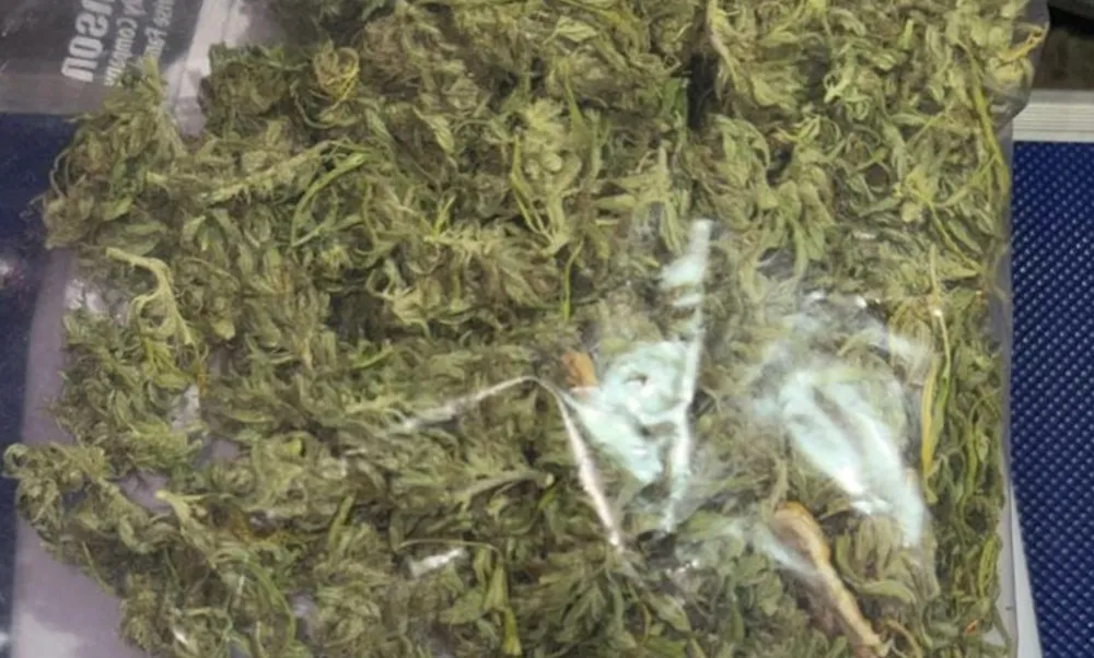 Marihuana incautada