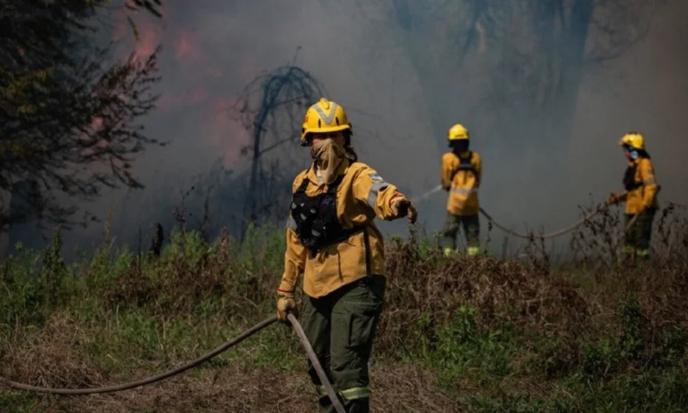 Desde el oficialismo sostienen que la normativa vigente impide reaccionar frente a un escenario adverso.