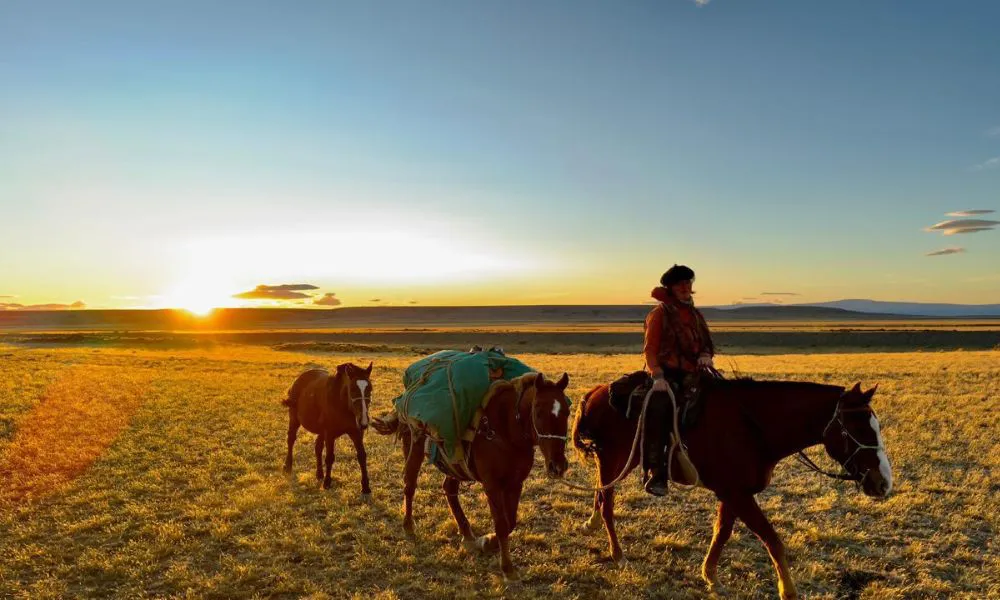 The World From a Horse El Muindo desde un caballo 9