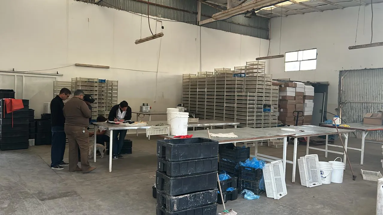 Imagen de WhatsApp 2024-03-19 a las 07.11.34_e9d4f046