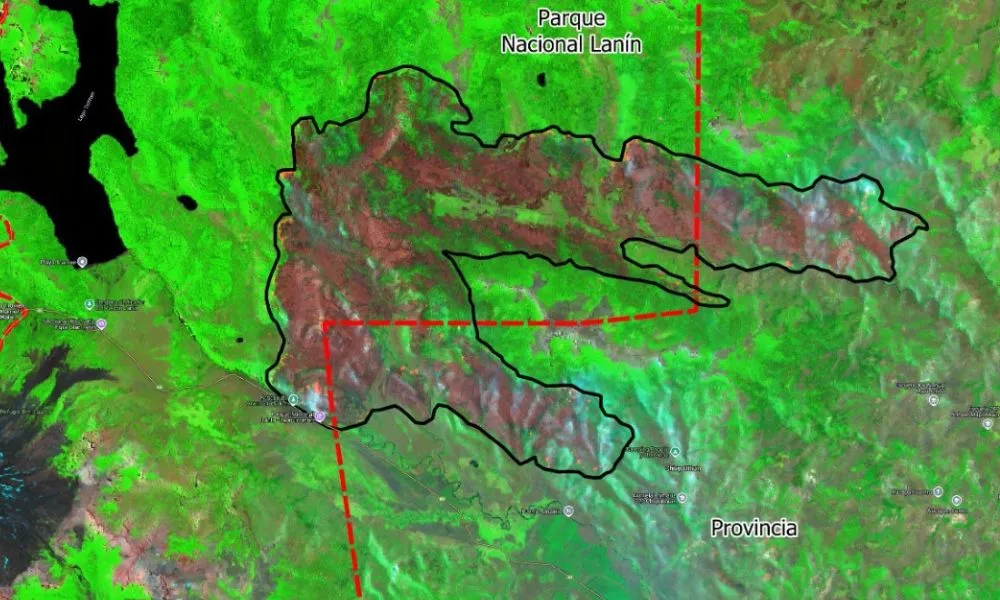 incendio PN Lanín