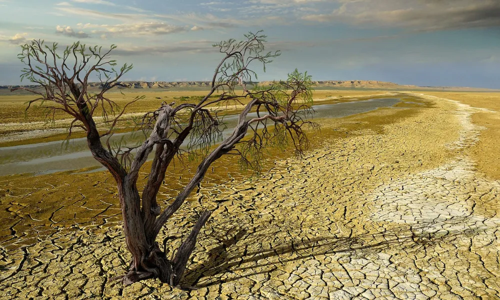 Cambio Climático