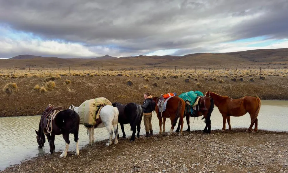 The World From a Horse El Muindo desde un caballo 8