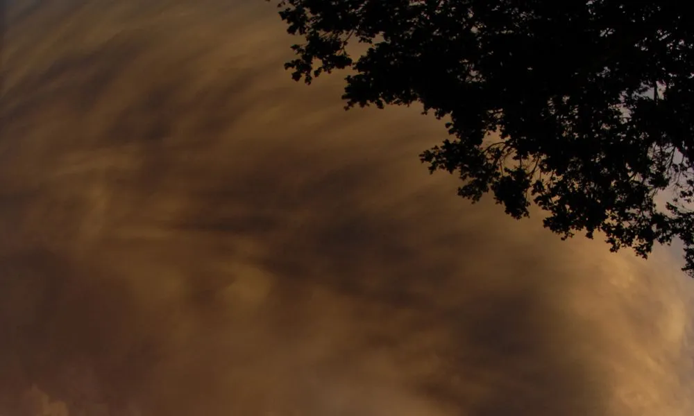 Vientos fuertes imagen ilustrativa fuente Freepik